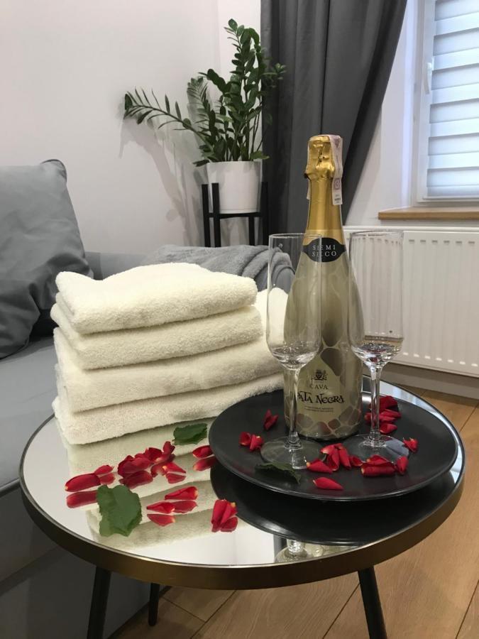 Apartament Przy Promenadzie Jelenia Góra Εξωτερικό φωτογραφία